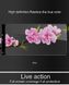 3D защитное стекло для Xiaomi Mi Mix 2S (5957). Фото 5 из 5